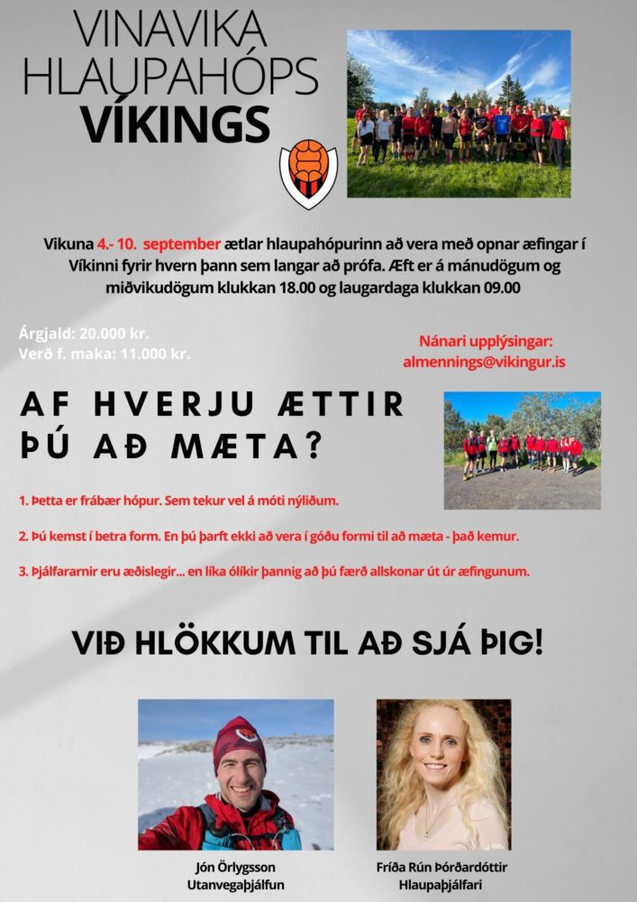 Vinavika Almenningsdeildar Víkings